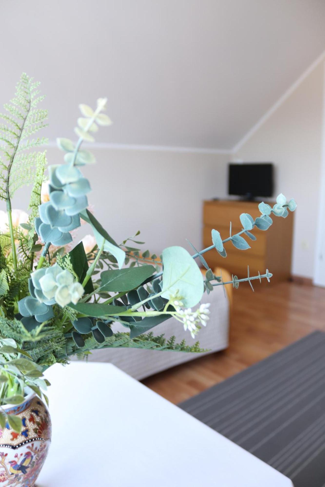 Pokoje&apartamenty Minus -